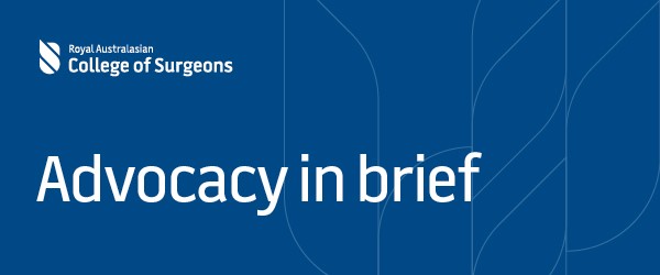 Advocacy in brief banner