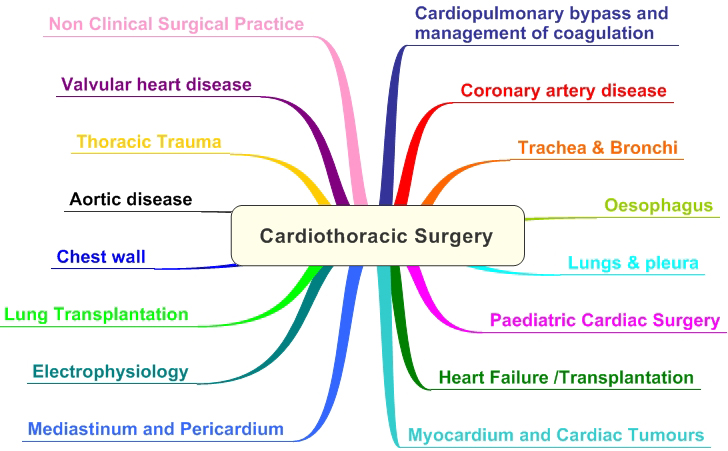 Cardiothoracic_Curriculum_Modules