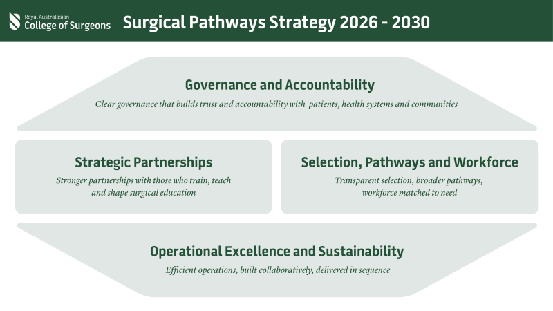 Surgical pathways Strategy pillars